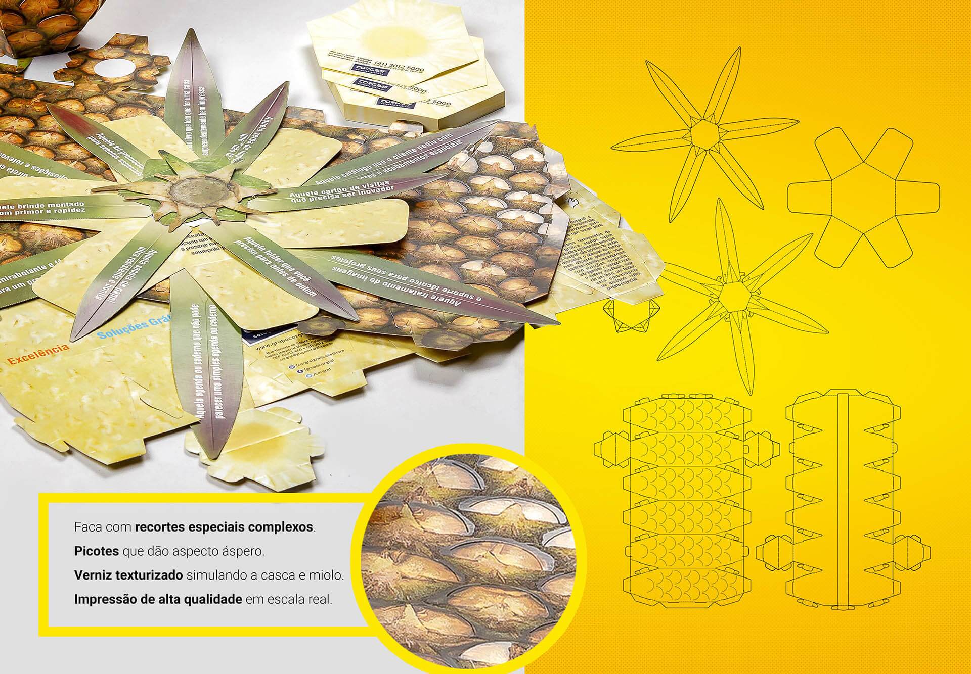 Abacaxi Corgraf – Pontodesign Abacaxi Corgraf - Pontodesign